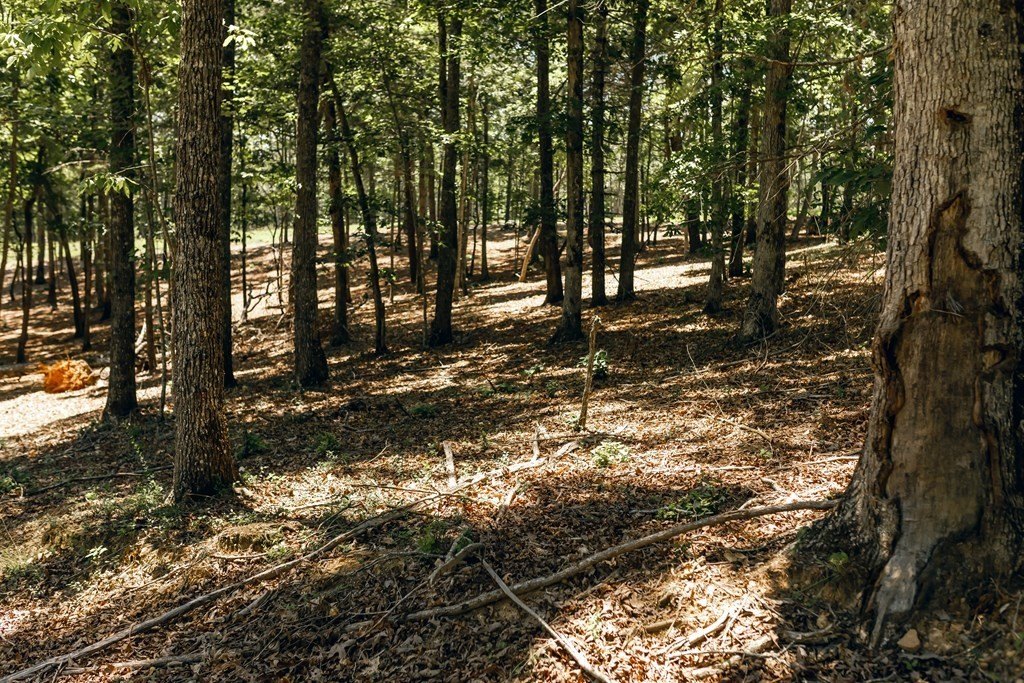 Picture 7
