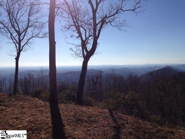 8.67 Acres in Gated Community