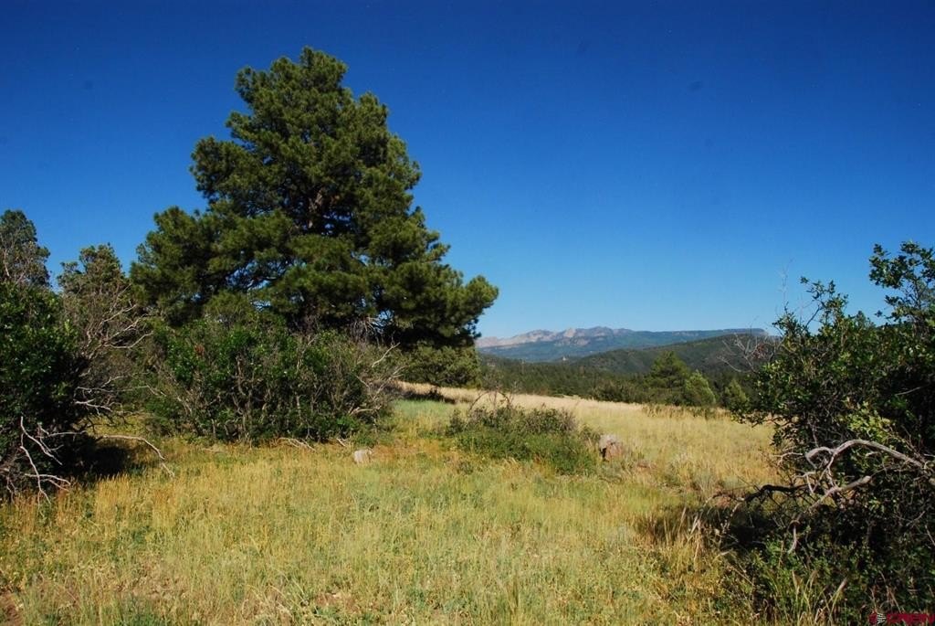 Land in Pagosa Springs, CO