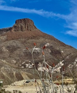 Land, Lajitas, TX