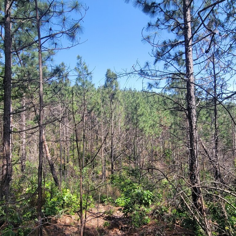 Picture 4