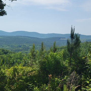 Ashland Vacant Land Investment Opportunity
