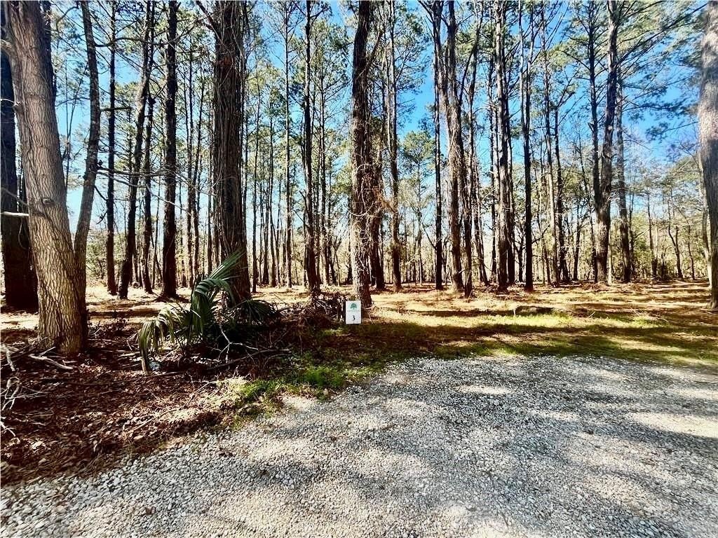 Darien, GA Homesite For Sale
