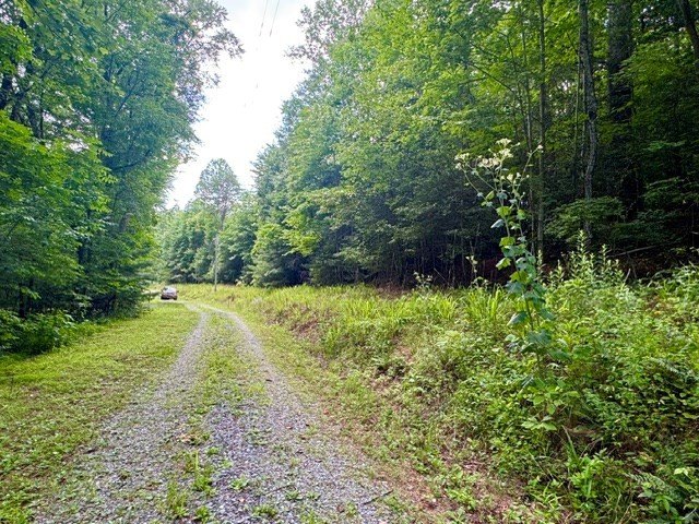 Picture 6