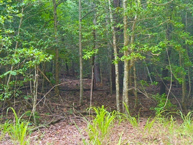 Picture 10