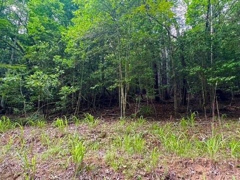 LAND - Murphy, NC