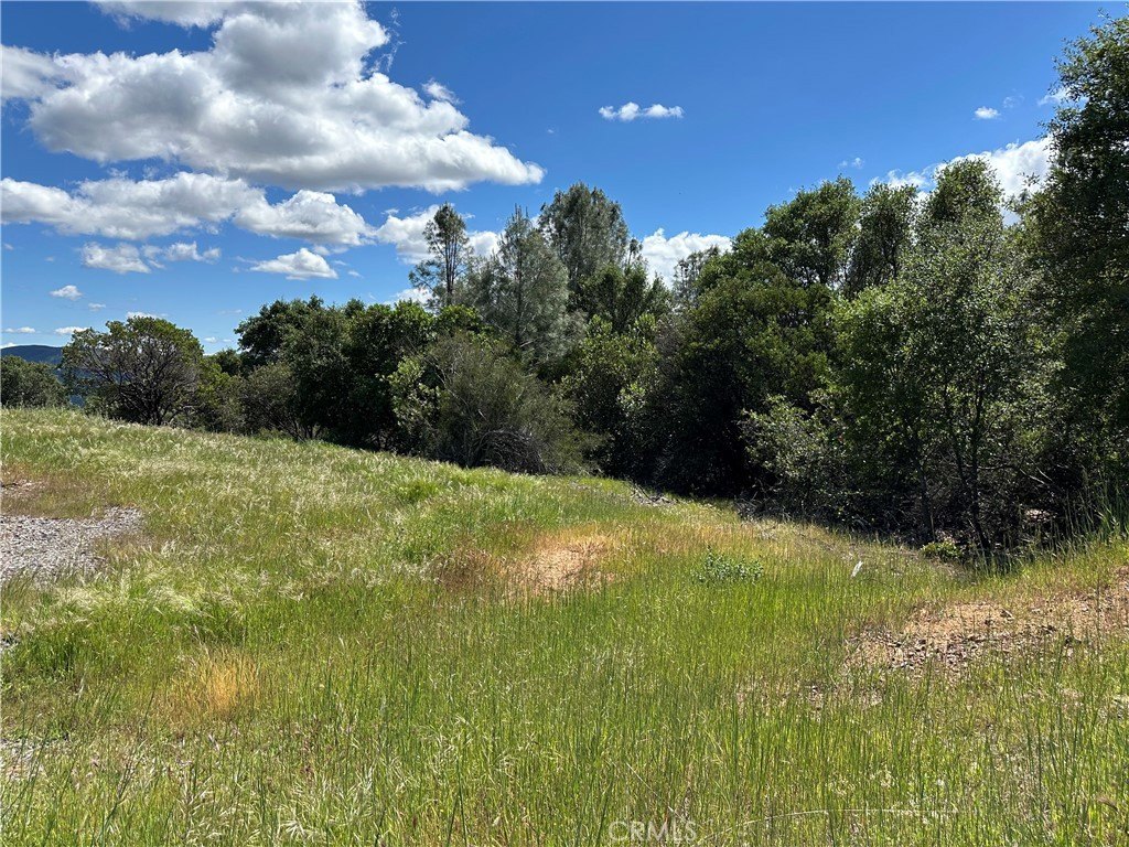 Land/Lot in Clearlake Oaks