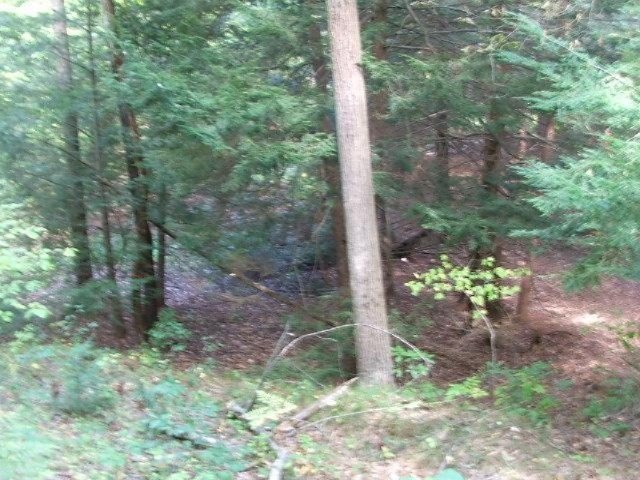 Picture 7