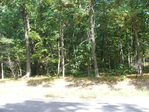 LAND - Muskegon, MI