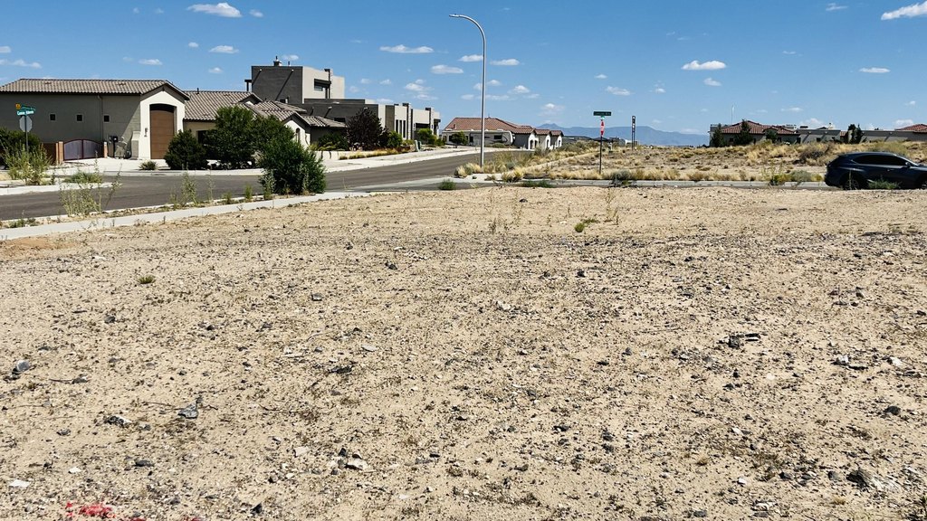 Picture 14