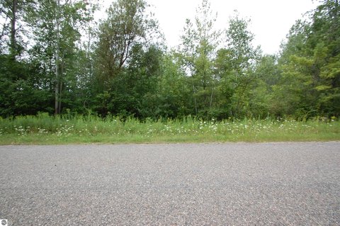 Wooded Waterfront Residential Lot