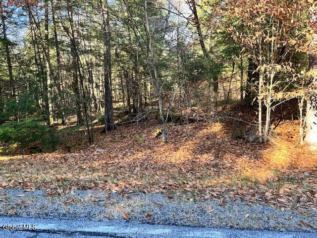 Land in Bolton Landing, NY