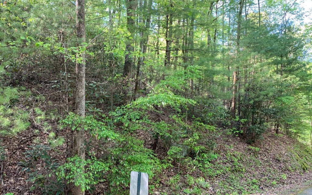 Picture 21