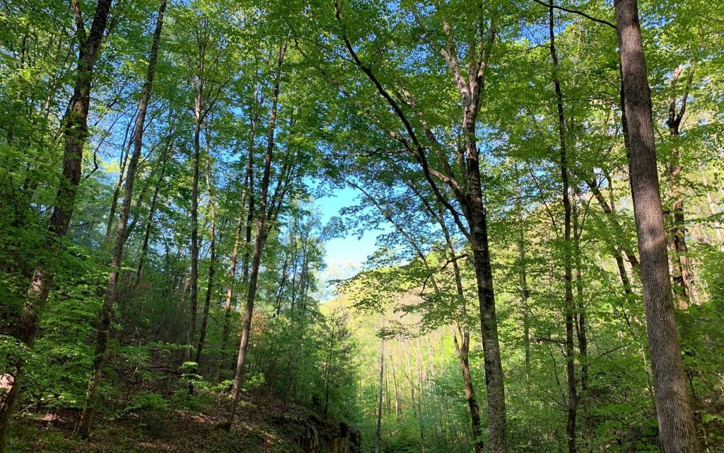 Picture 4