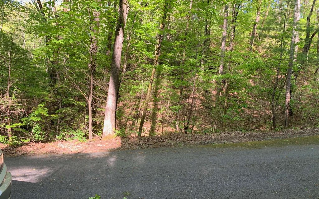 Picture 18