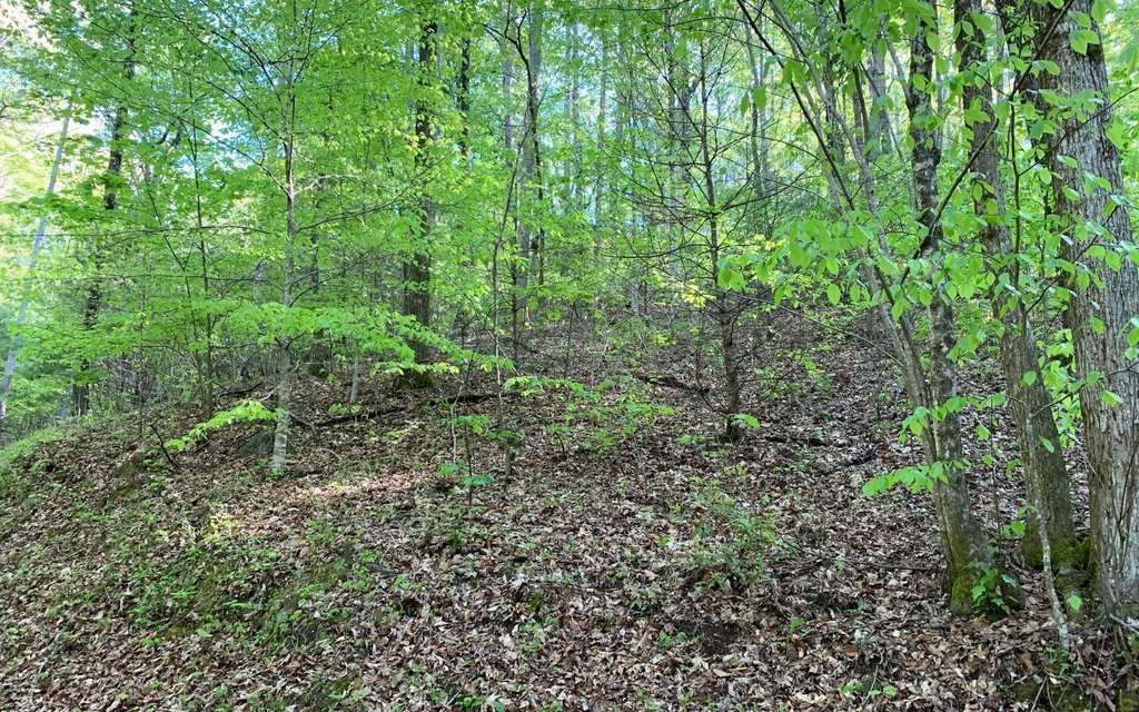 Picture 19