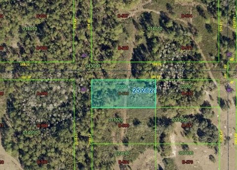 Land, POLK CITY, FL