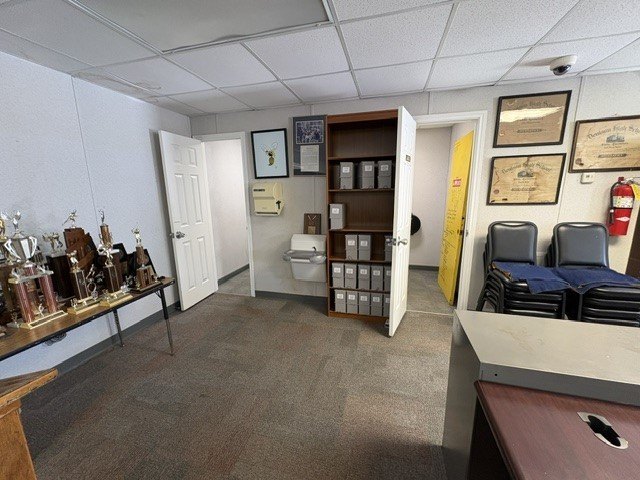 Picture 7