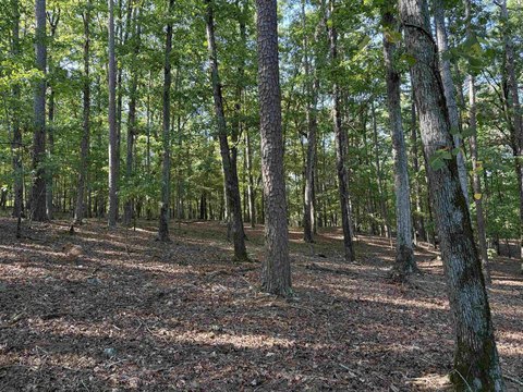 Vacant Land, Mount Ida, AR