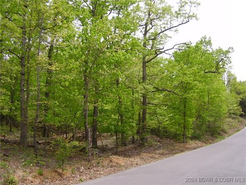 Camdenton, MO Building Lot