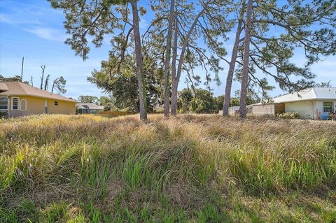 Residential Lot Near Gulf Beaches