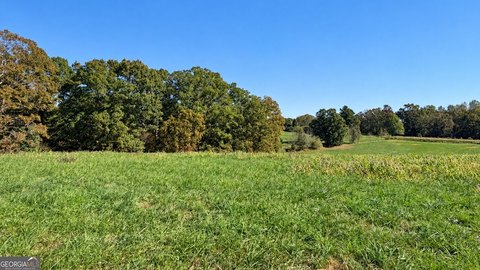 Land, Demorest, GA