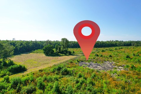 Walterboro Hunting Land For Sale