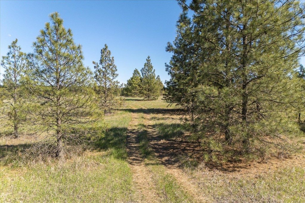 Picture 17