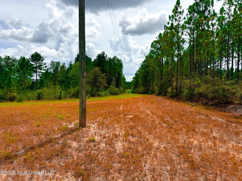 Picture 25