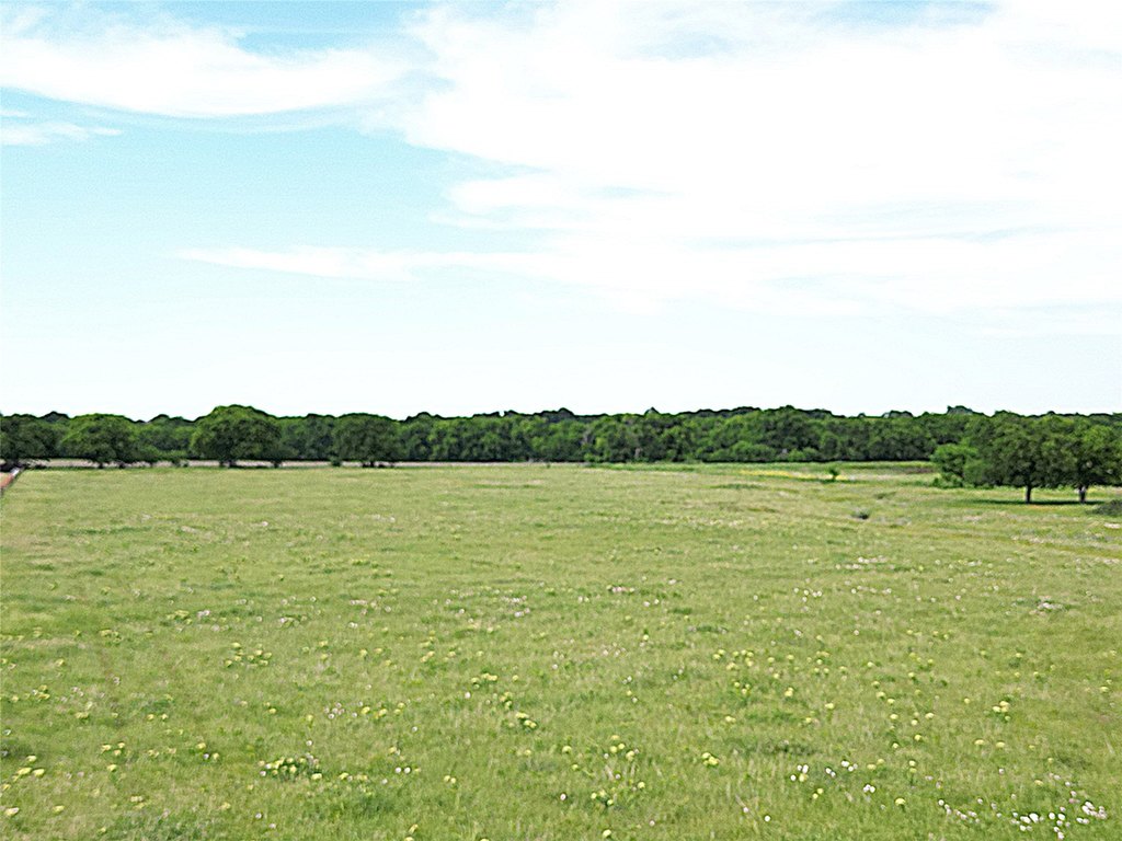 Picture 37