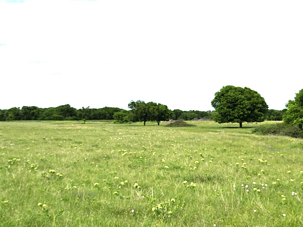 Picture 34