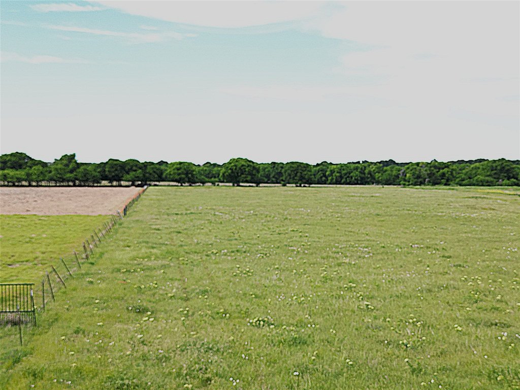 Picture 38
