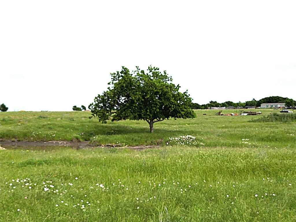 Picture 36