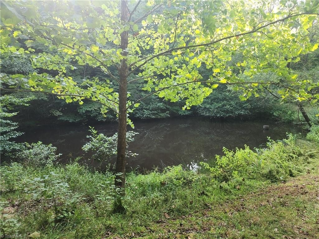 Picture 24
