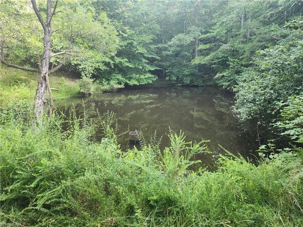 Picture 25