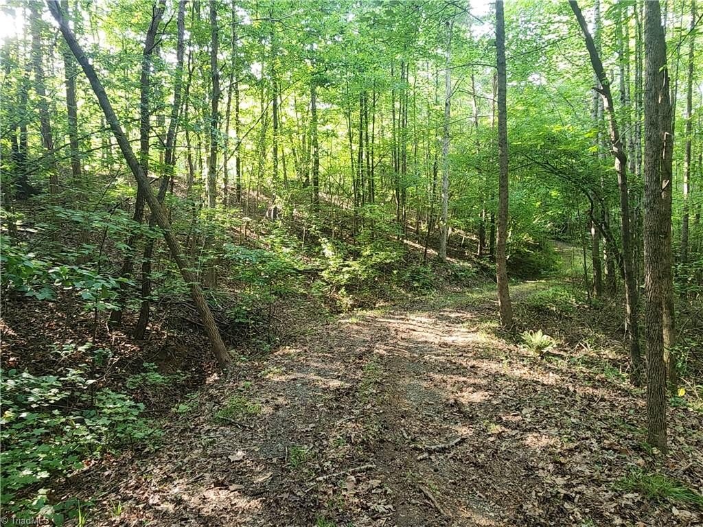 Picture 16