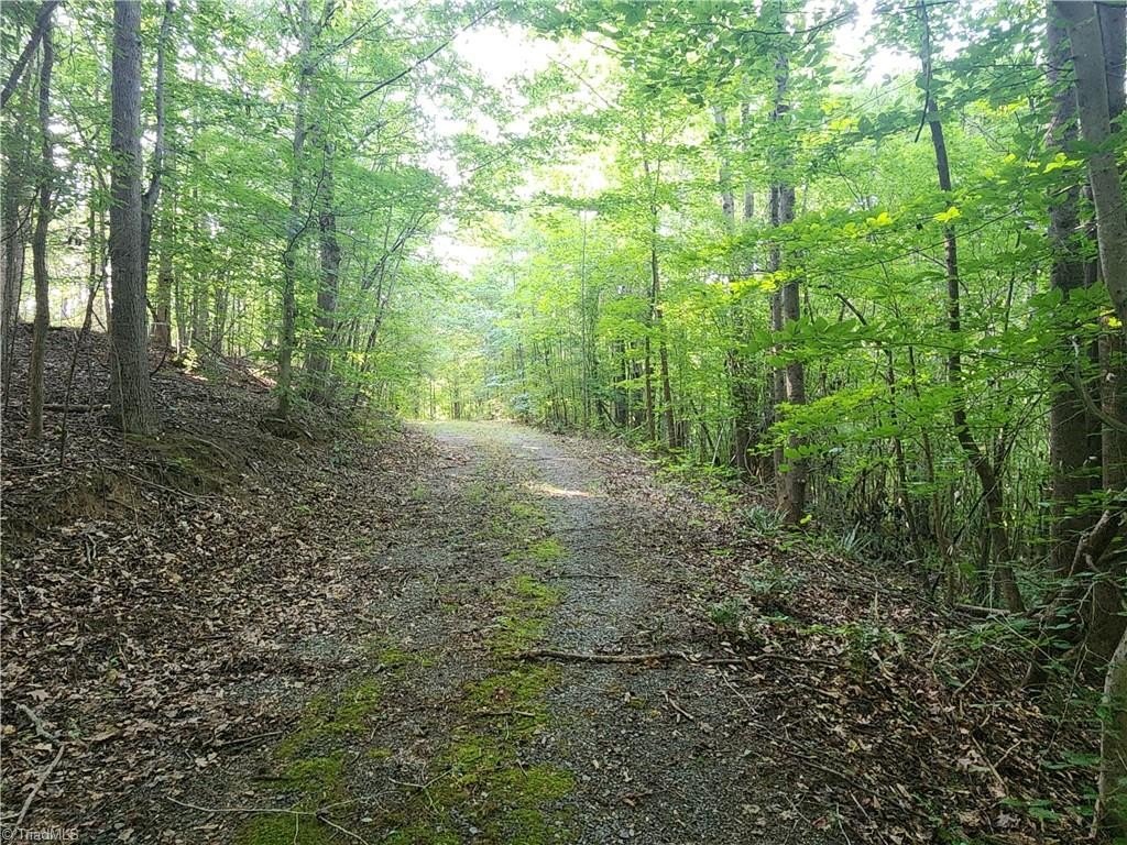 Picture 18
