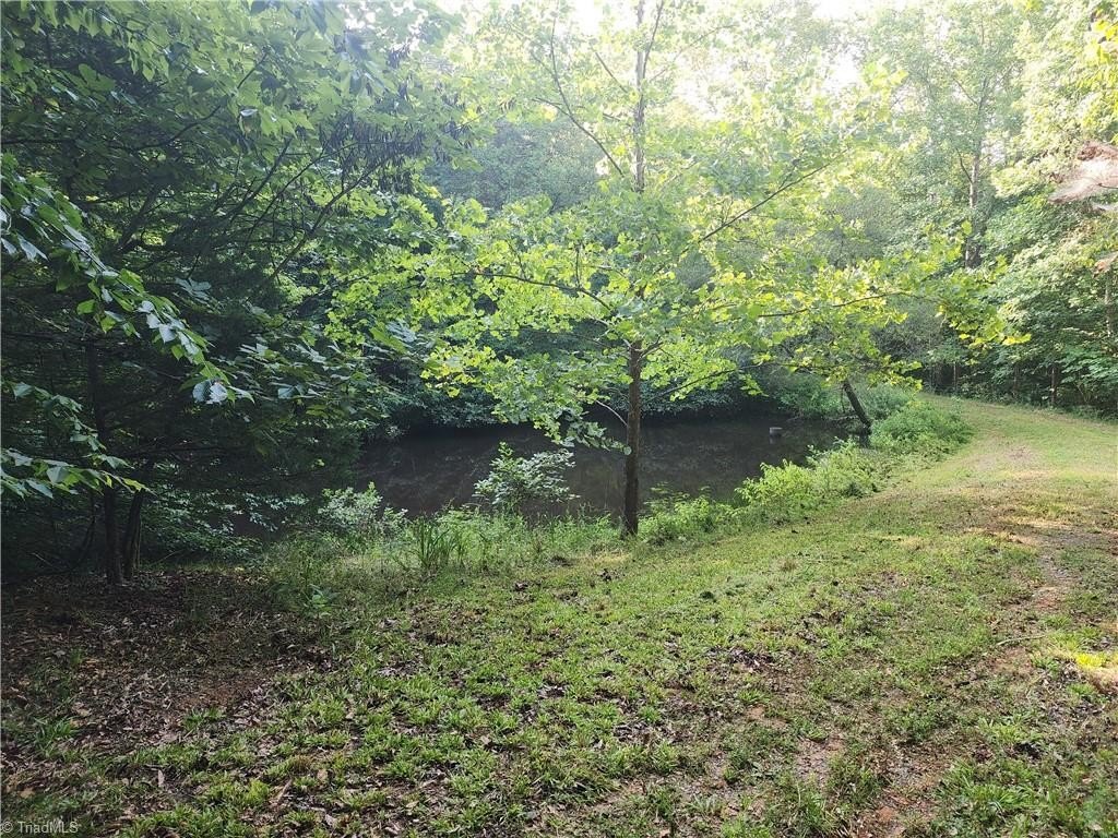 Picture 23