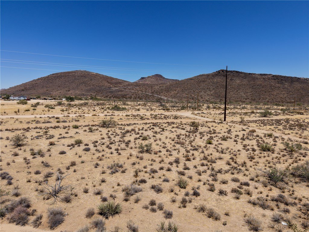 Picture 6