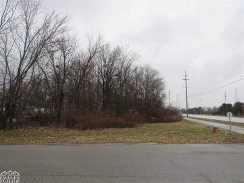 Commercial Land on M-29
