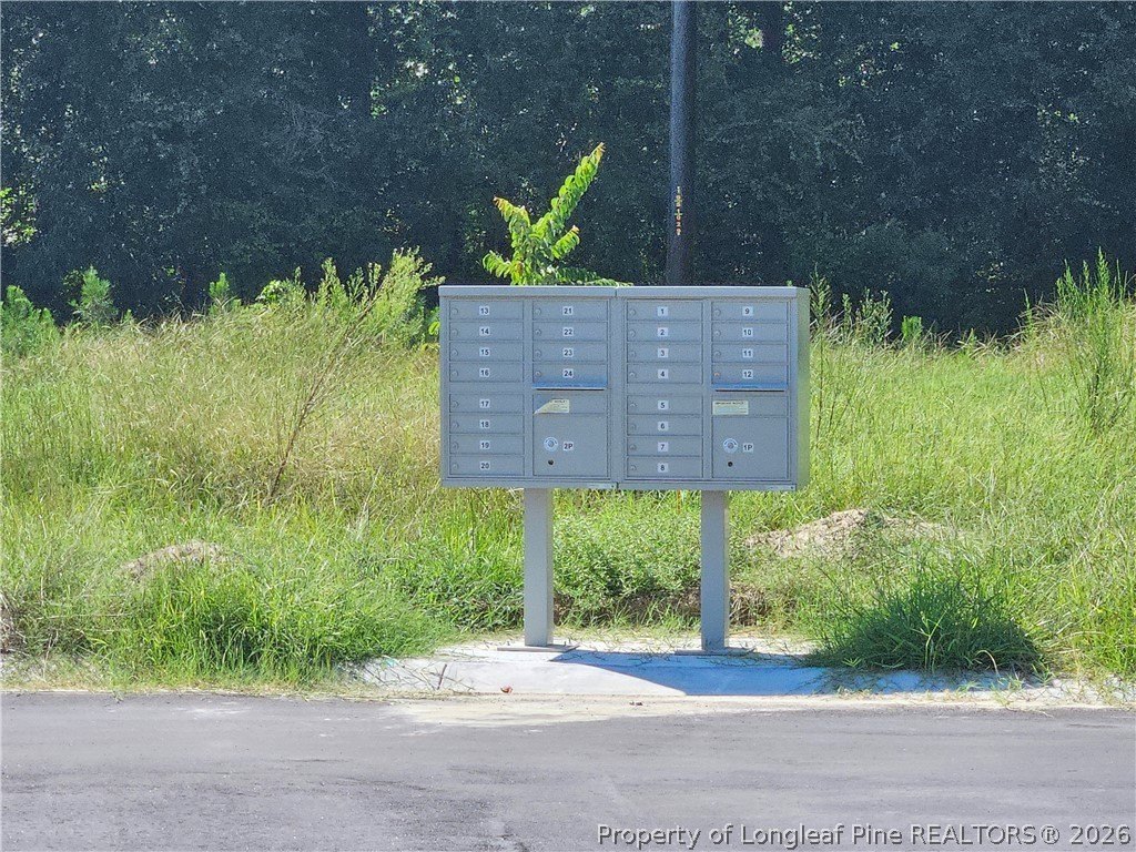 Picture 9