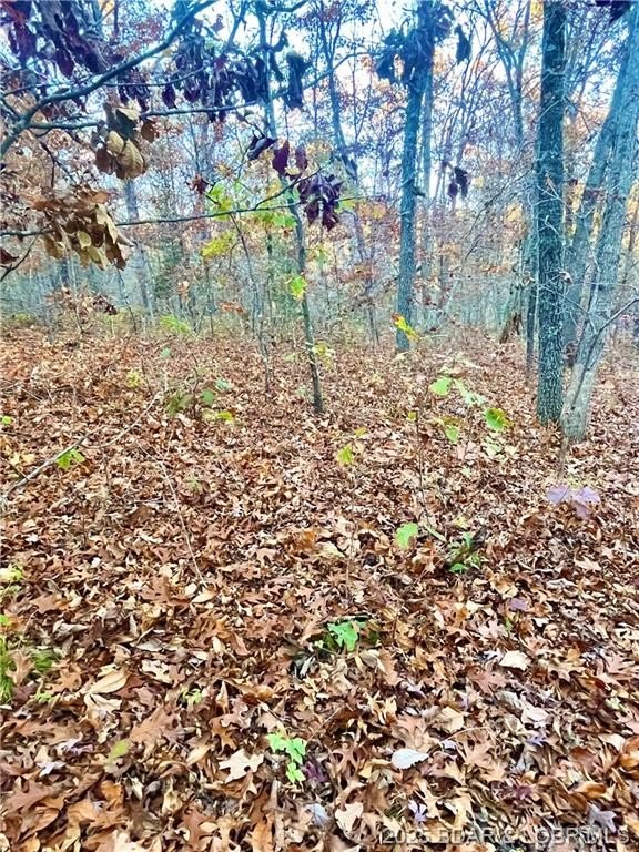 Land for Hunting and Recreation