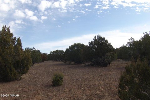 22 Acres Wooded Land, Show Low