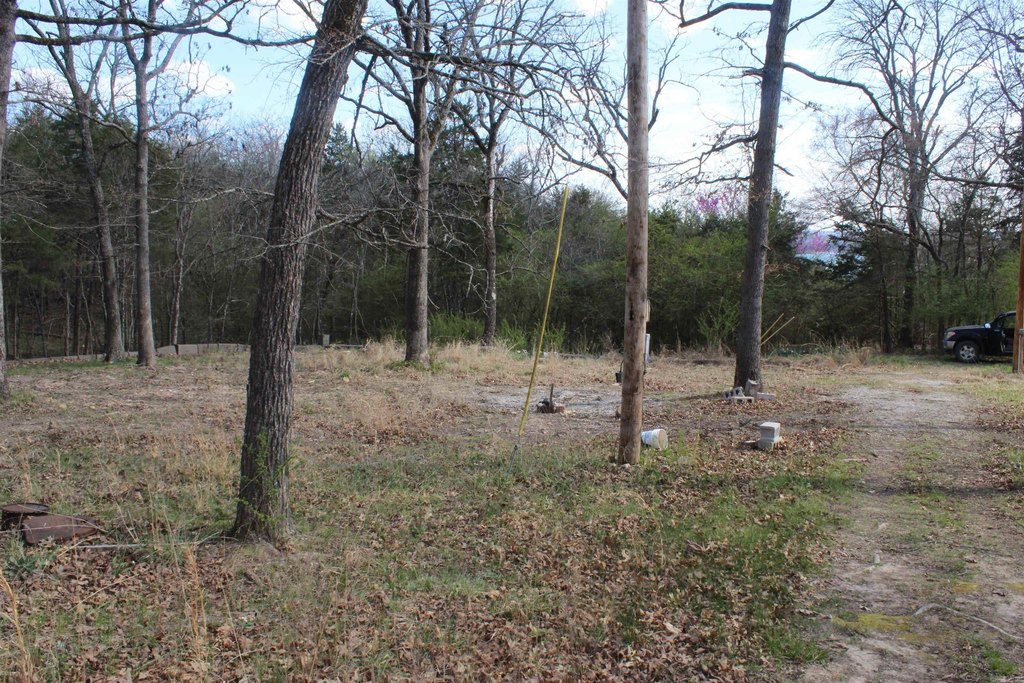 Picture 7