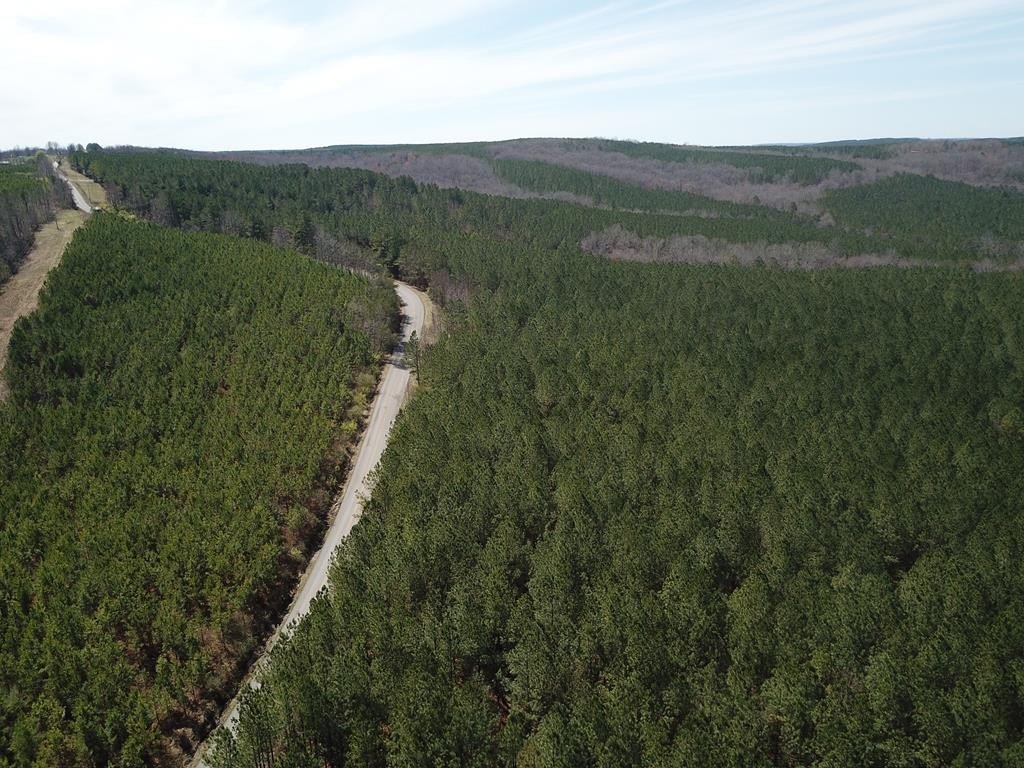 Wooded Tract in Crossville, TN