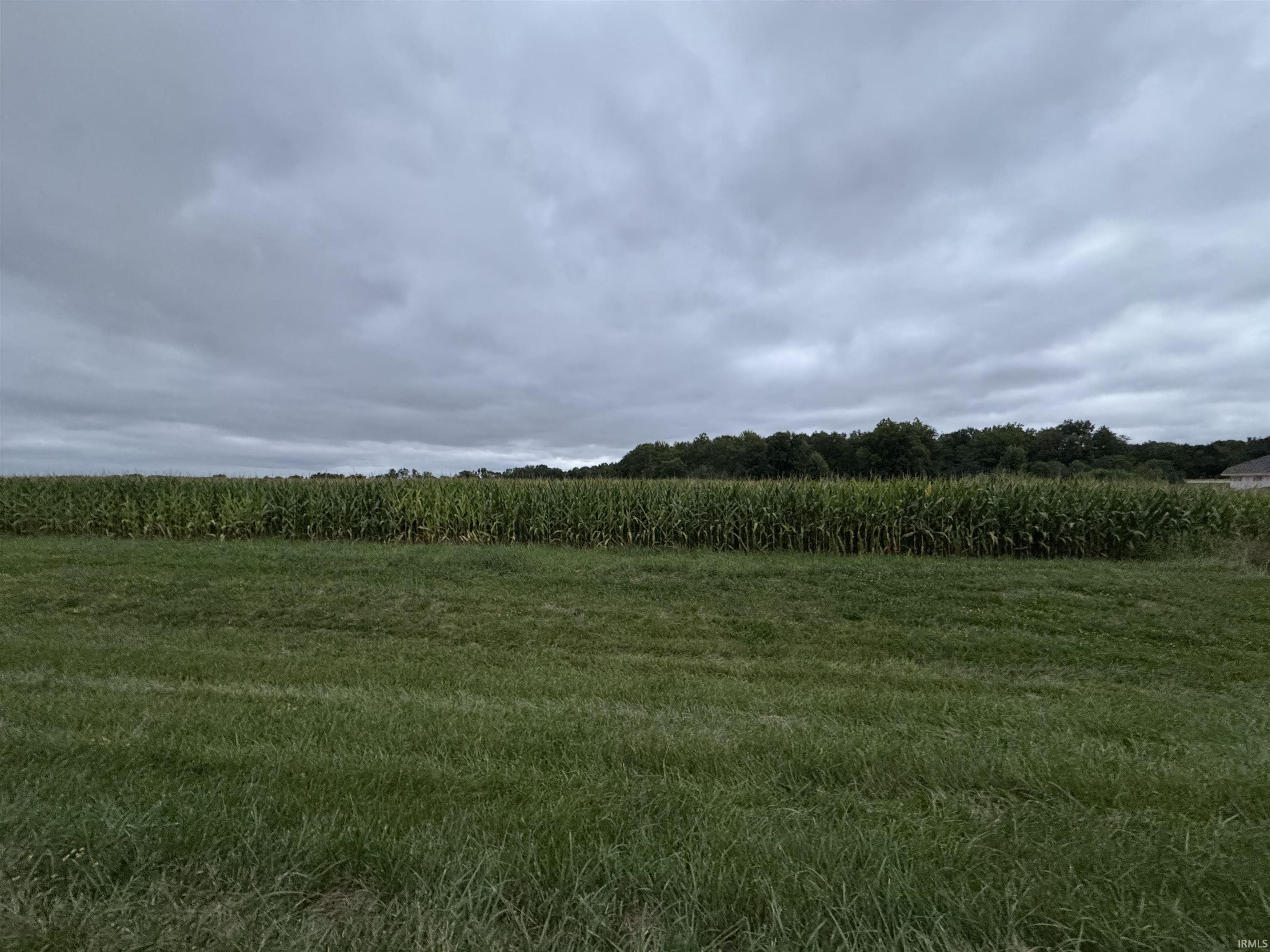 Residential Land in Convenient Location