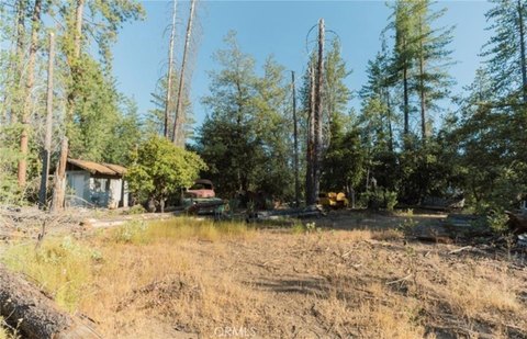 Coulterville Land with Sierra Foothills Charm