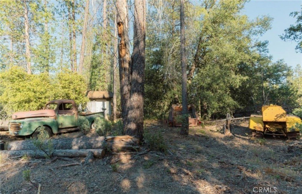 Picture 9
