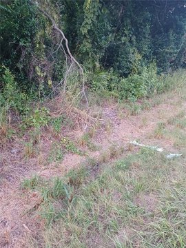 Residential Land Near Gemini Springs