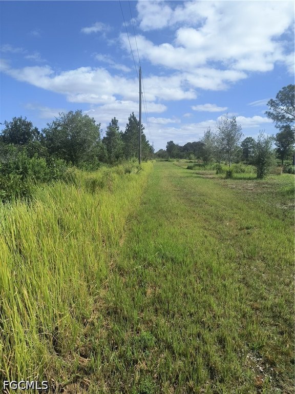 Picture 17